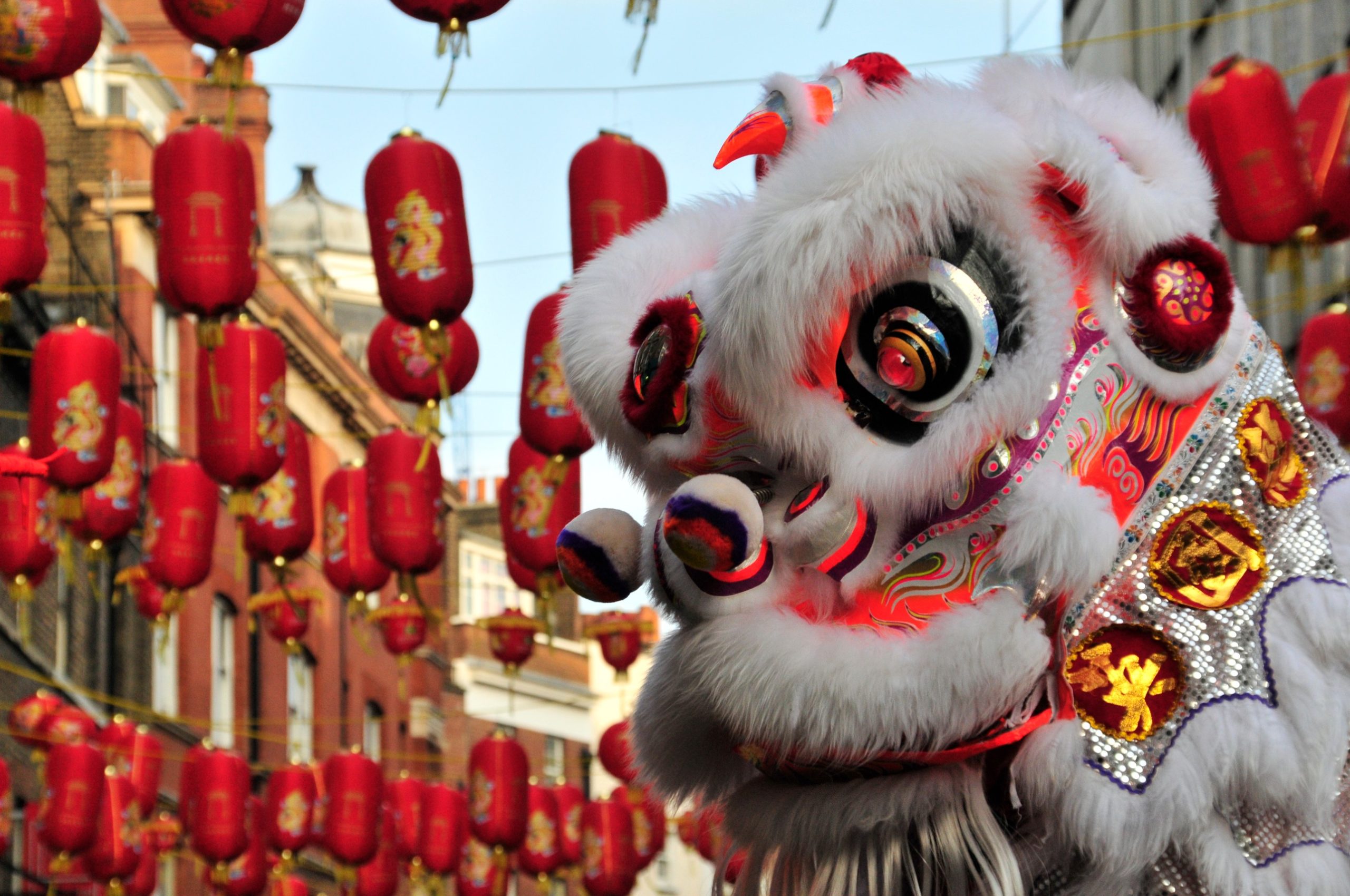 Fortune, Food, and Family: A Millennial’s Guide to the Lunar New Year