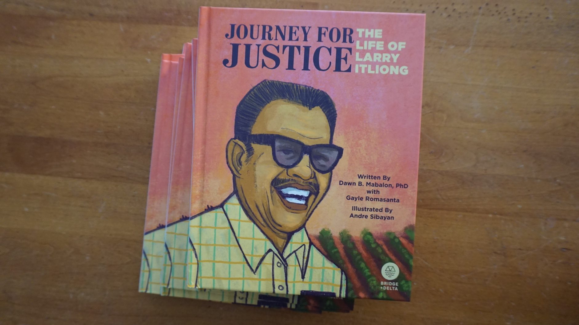 Filipino book Journey for justice