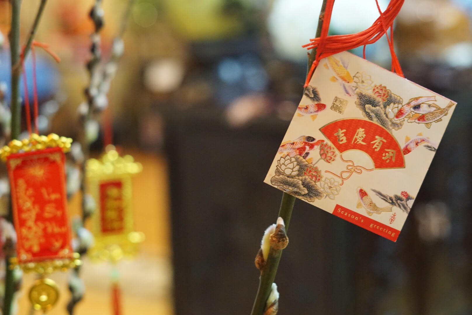 How We Celebrate Lunar New Year As A Diverse Family