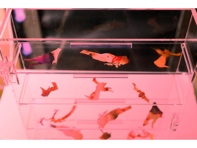 Reclaiming sexualized Asian women through Art