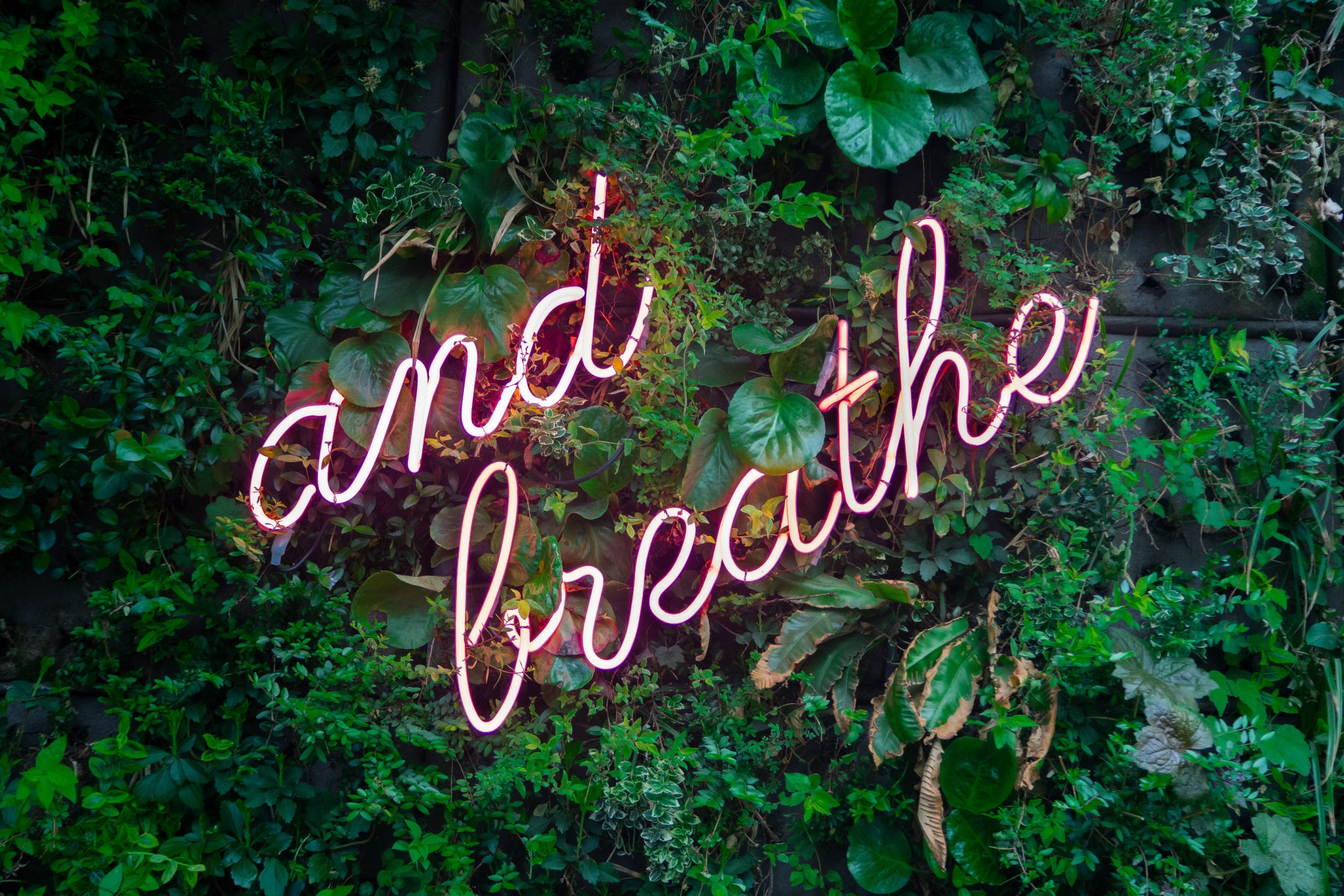 Neon sign labelled, "and breathe," against a backdrop of plants.